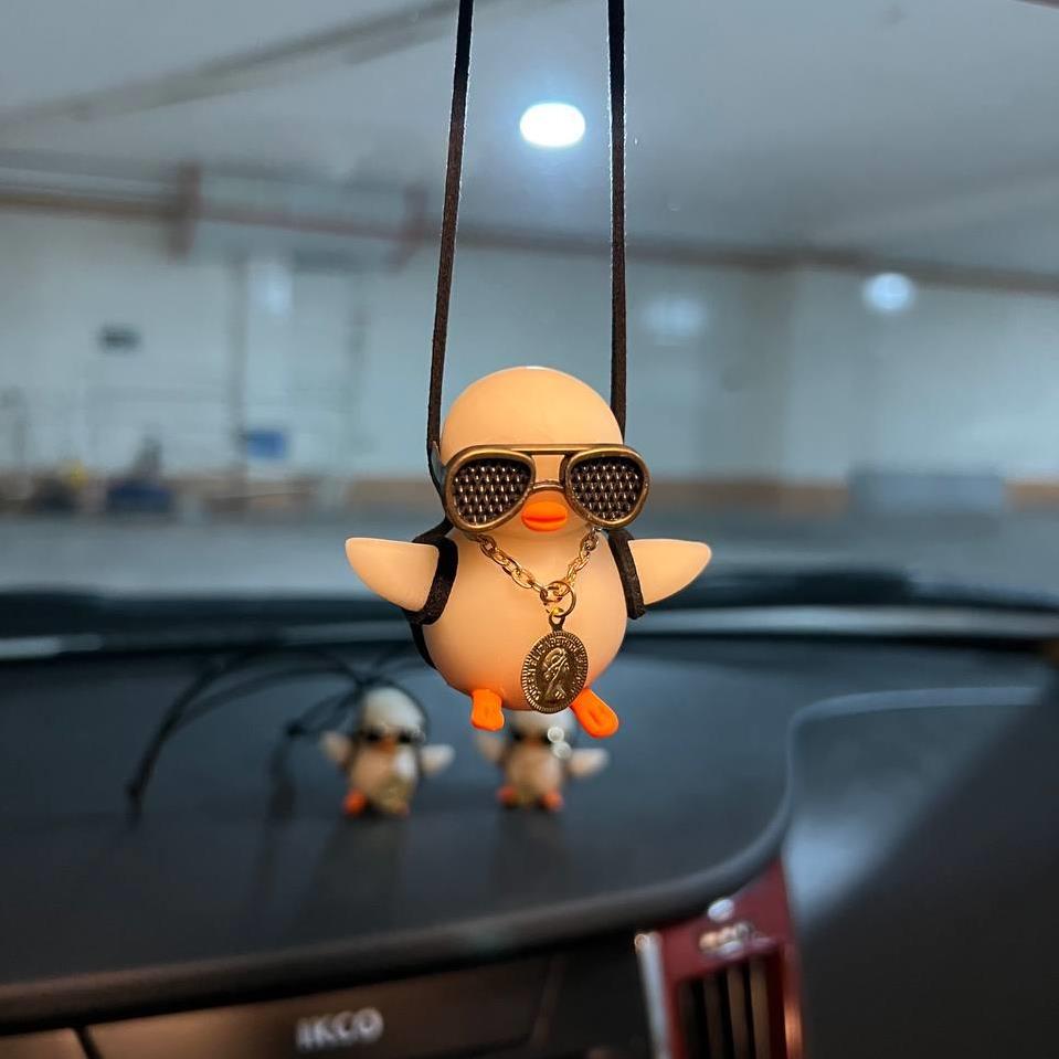 آویز اردک تابی 607cdeca-070f-43a8-9dcf-73af8facb5ed.jpg