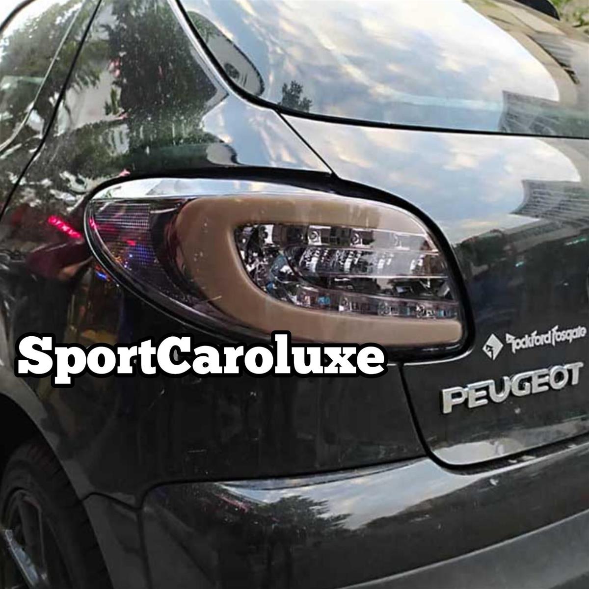 خطر عقب 207 دودی a3743317-7c9b-458b-b938-ac8f0e5fffae.jpg