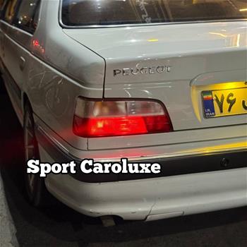 خطر دو‌رنگ پارس